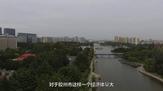 胶州市审计局最新招聘启事概览