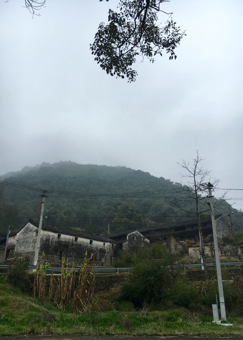 上石洞乡天气预报更新通知